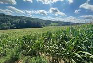 Natur Pur - Landwirtschaft mit Kellerstöckl - Flächen flexibel Erwerbbar!