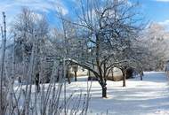 Gepflegtes Einfamilienhaus im Grünen