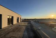 Flexible Lagerhalle mit Wohn-/Büroeinheiten und großem Freiflächenpotenzial – Unterwaltersdorf / Ebreichsdorf