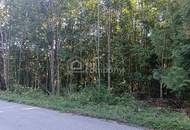 Traumhaftes Baugrundstück am Semmering – 1546 m² mit Berg- und Grünblick!