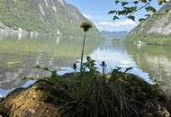 Badeplatz am Hallstättersee - Wasserzuwegung
