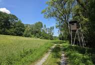 Landwirtschaftliches Grundstück