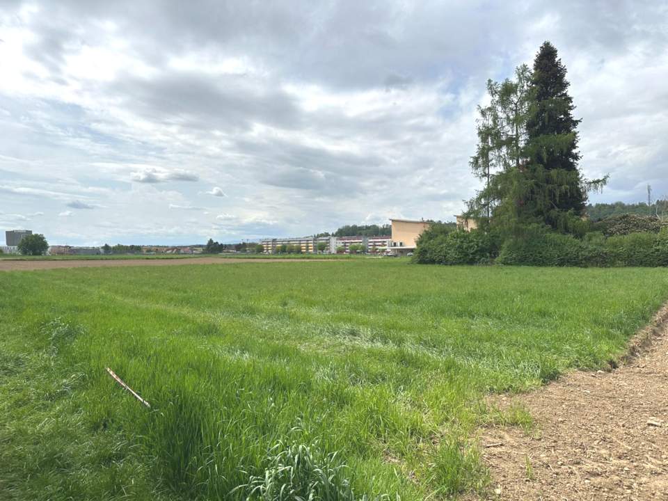 Gewerbegrundstück für Betriebsansiedelung