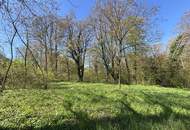 Platz für ein Einfamilien- oder Doppelhaus - Eigengrund am Ödberg in sonniger, grüner Umgebung