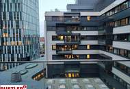 Das myhive Urban Garden Bürokonzept – Ein "Detox-Programm" für den Arbeitsalltag