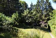 Baugrundstück im Augustinerwald - Naturidylle mit Hanglage