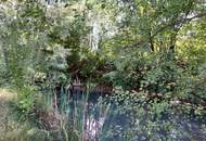 Architektenhaus -Barrierefreies Niedrigenergiehaus auf über 2 ha Grund