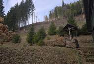 Zwei sanierungsbedürftige Häuser in absoluter Ruhe/Alleinlage