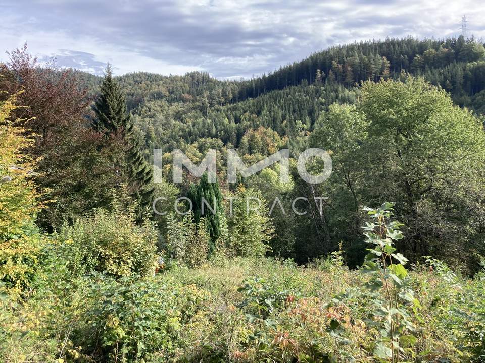 Grundstück am Semmering in ruhiger Siedlungslage!