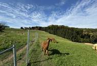 Rarität! Bauernhof in der steirischen Toskana mit ca. 2,7 ha eingezäunter Weide!