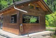 Waldflächen mit Betriebshalle, Reitplatz und Fischteich