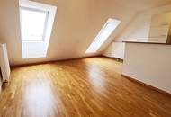 FERNBLICK, TERRASSENHIT, 61 m2 Dachgeschoß mit 48 m2 Terrasse, Wohnküche, 1 Zimmer, Wannenbad, Parketten, Holbeingasse