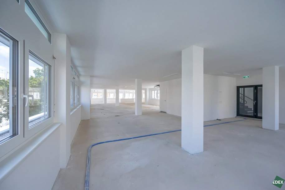 Erstbezug: Moderne Bürofläche in Hietzinger Bestlage, Gewerbeobjekt-miete, 8.222,75,€, 1130 Wien 13., Hietzing