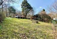 ++ KNUSPERHÄUSCHEN ++ zur MIETE mitten im WALD