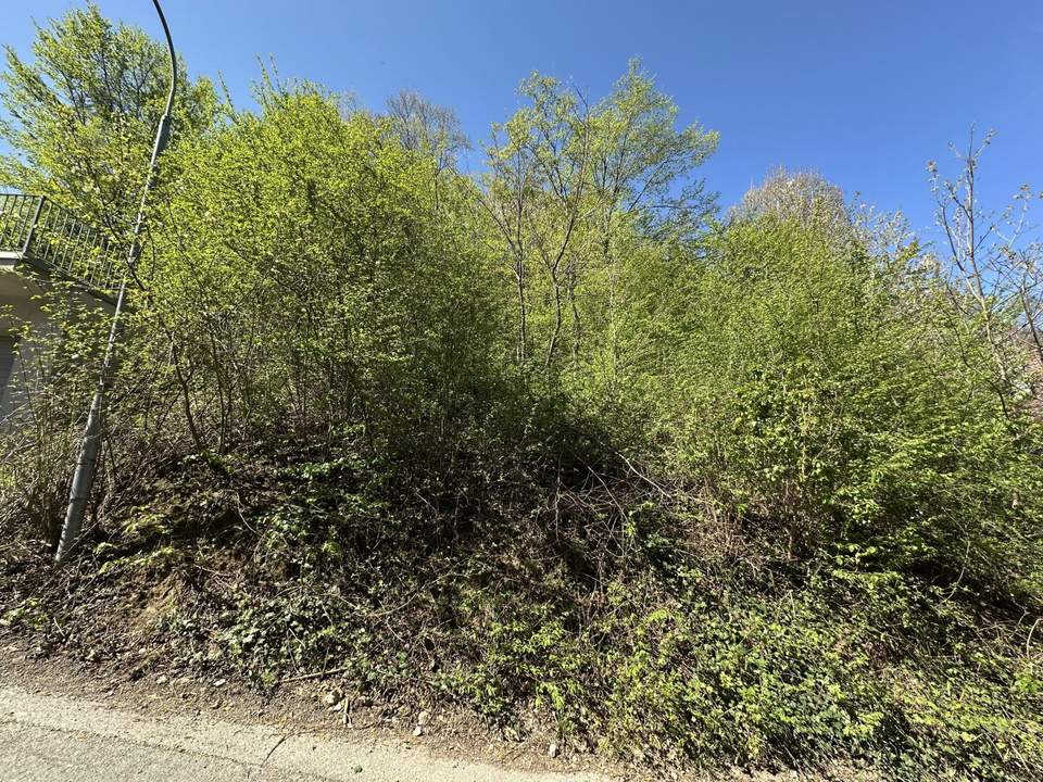 kleiner Baugrund in Hanglage zu verkaufen