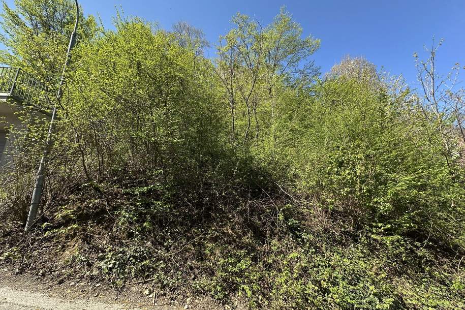 kleiner Baugrund in Hanglage zu verkaufen, Grund und Boden-kauf, 40.000,€, 7203 Mattersburg