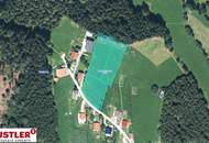 Baugrundstück für Bauträger im Ausmaß von 5.696 m² mit Almcharakter