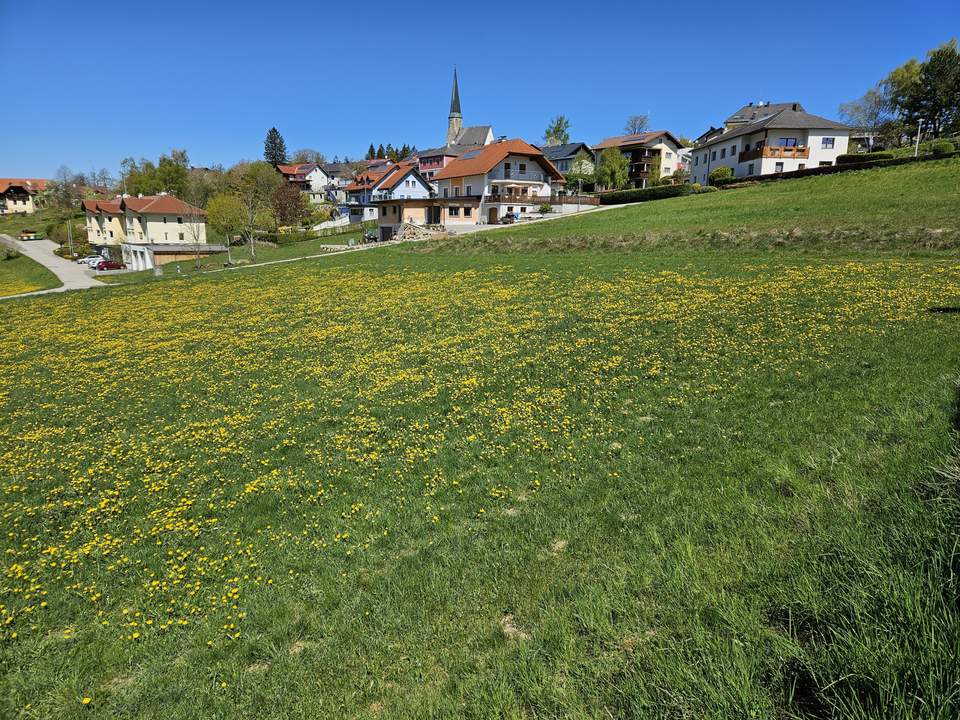 Baugrund (gemischtes Baugebiet mit Einschränkung) mit Möglichkeit auf Erweiterung der Fläche