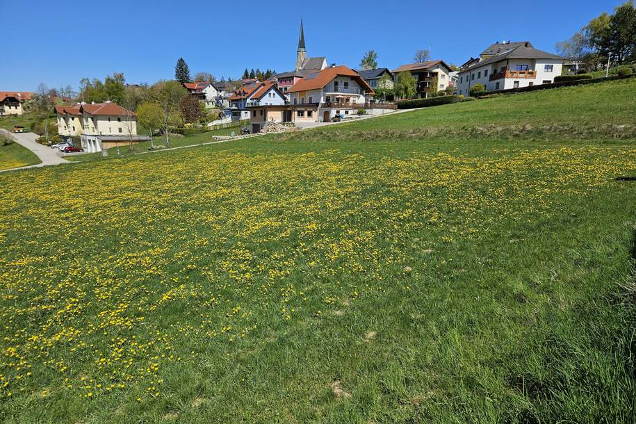 Baugrund (gemischtes Baugebiet mit Einschränkung) mit Möglichkeit auf Erweiterung der Fläche, Grund und Boden-kauf, 28.650,€, 4372 Perg