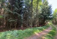 Waldfläche in Eberschwang/Hausruckwald - ca. 25.126 m²