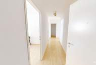 Grünblick mitten in der Josefstadt