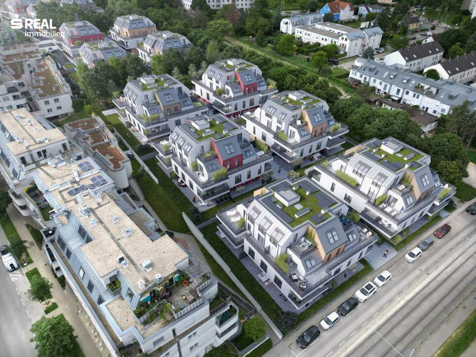 Simmering. Nur du. Leben im Rosengarten.