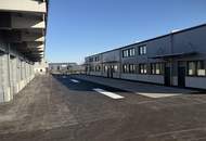 Neubau Gewerbehalle Teesdorf B17 - 154 bis 399 m2 - Fussbodenheizung - sofort beziehbar