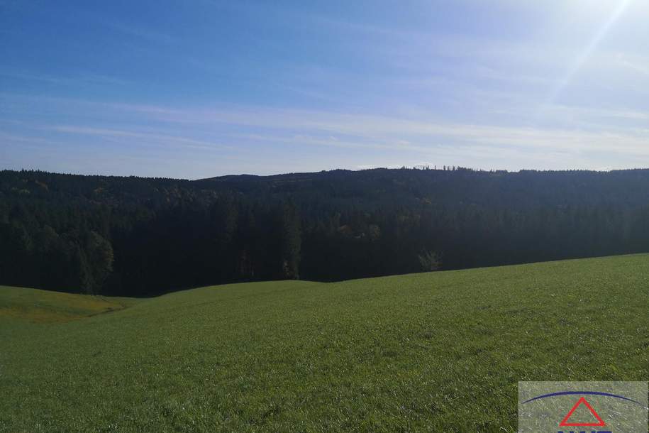 Landwirtschaftliches Grundstück und Baugrund im Raum Mondsee zu verkaufen!, Grund und Boden-kauf, 5310 Vöcklabruck