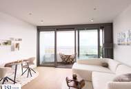 Möbliert, Pool, Sauna, Fitness in den DANUBEFLATS wohnen mit Luxusausstattung und phantastischem Ausblick