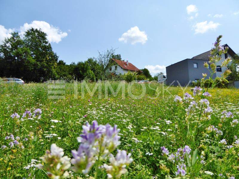 Perfekt für Ihr neues Zuhause - nette Siedlung ohne Druchzugsverkehr!