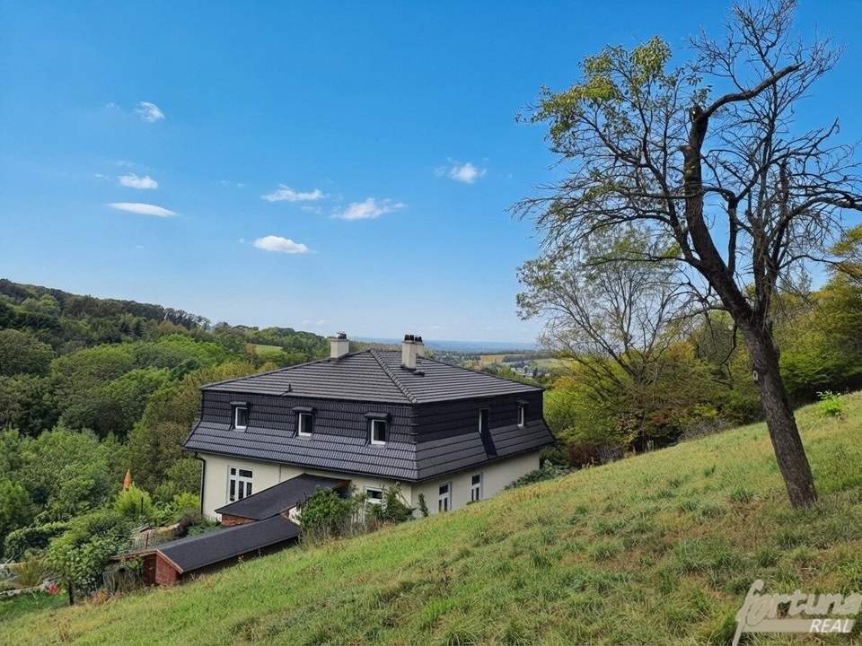 Renovierte 1900er-Jahre Villa in Alleinlage – Ruhe und Natur pur am Berg