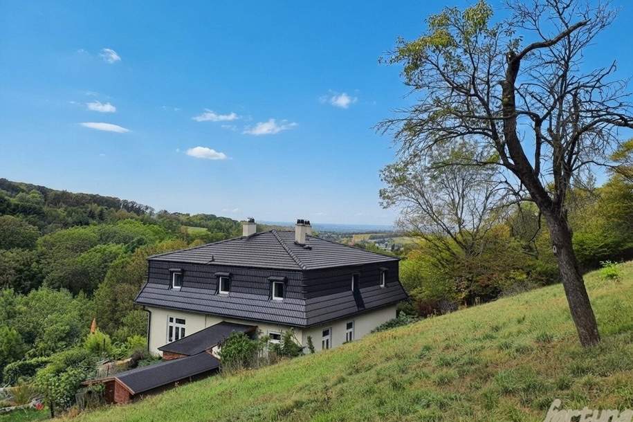 Renovierte 1900er-Jahre Villa in Alleinlage – Ruhe und Natur pur am Berg, Haus-kauf, 780.000,€, 3434 Tulln