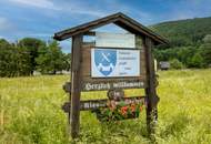 FRÜHLING NAHT! Ihr Idyllisches Einfamilienhaus mit Garten im Bezirk Baden wartet.