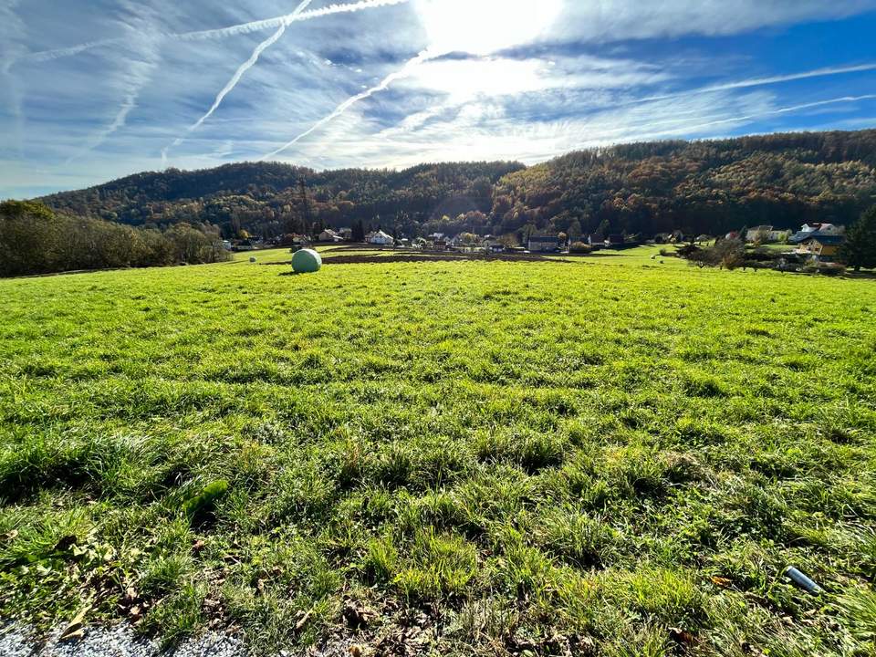 NEUER PREIS! Freilandgrundstück mit großem Potential für langfristiges Investment in Graz!