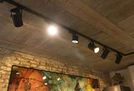 AUSSERGEWÖHNLICH - Traumhaus in Kirchberg am Wagram – Ruhe, Privatsphäre und Luxus vereint