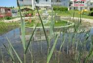 4- Zimmer Dachgeschosswohnung mit traumhafter Dachterrasse/Lift/PKW-Abstellplatz und exklusivem Schwimmbiotop
