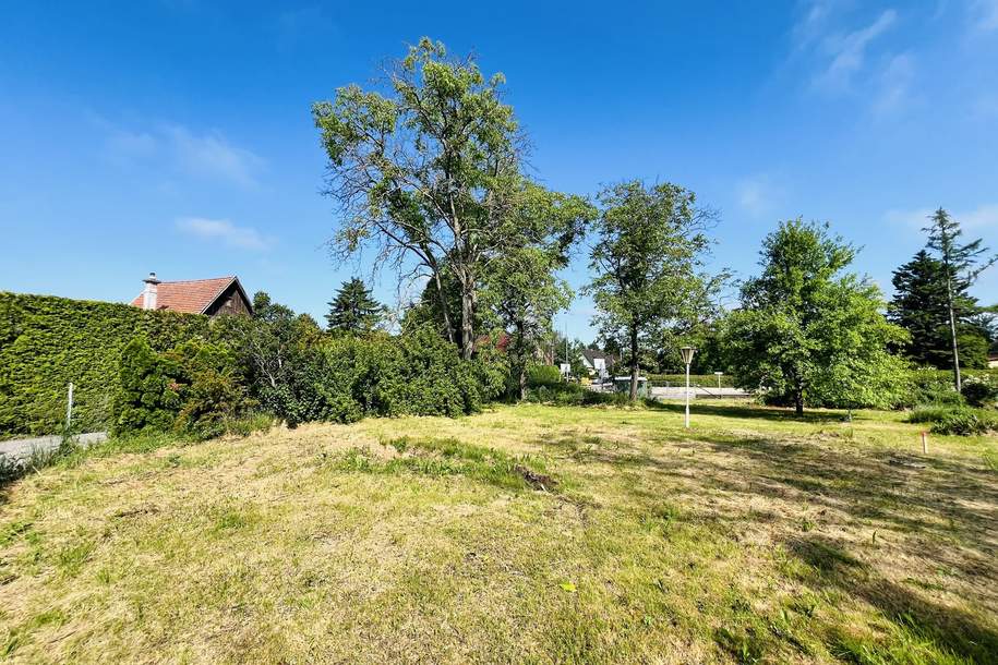 Baugrundstück Nr 2. in toller Lage, Grund und Boden-kauf, 499.000,€, 2551 Baden