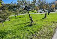 UNVERBAUBARER PANORMABLICK IM BERGDORF GURTIS