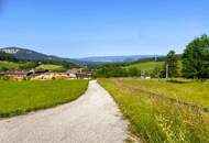 Wohnen am Waldrand, mit Wiese und Weitblick!