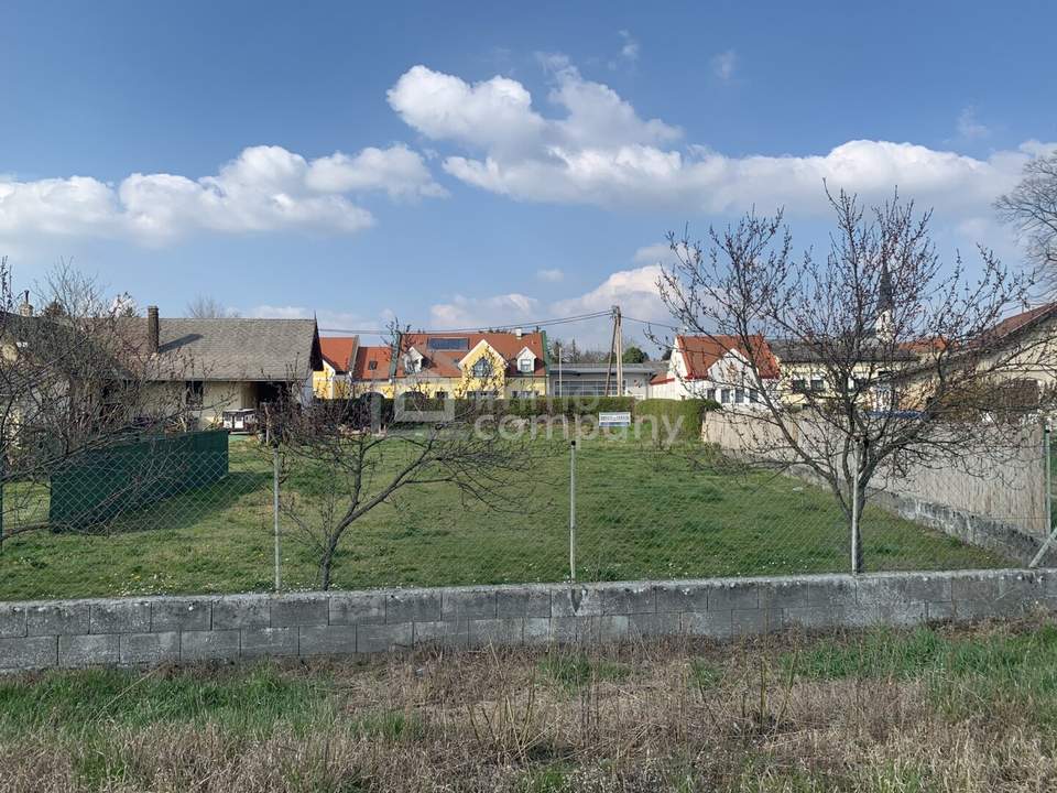 Ebenerdiges Grundstück kommt in Bockfließ zum Verkauf