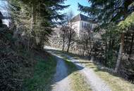 Ein einzigartiges Anwesen mit viel Platz und unzähligen Möglichkeiten