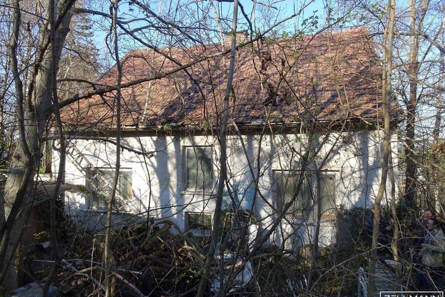 Baugrundstück im Weinviertel – Ruhe, Weitblick und Nähe zur Stadt | ZELLMANN IMMOBILIEN, Grund und Boden-kauf, 150.000,€, 2122 Mistelbach