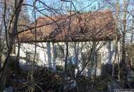 Baugrundstück im Weinviertel – Ruhe, Weitblick und Nähe zur Stadt | ZELLMANN IMMOBILIEN