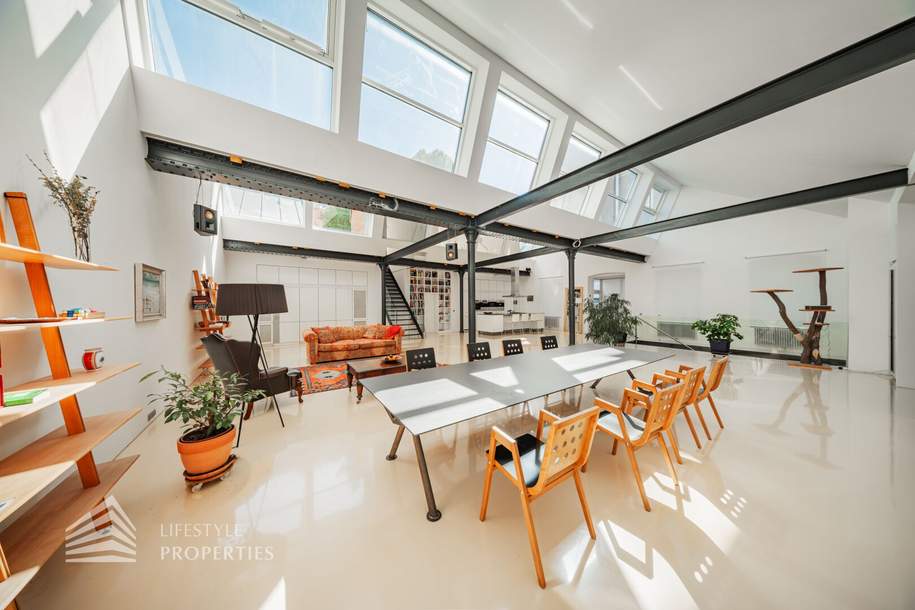 Einzigartige 5-Zimmer Loftwohnung mit Terrasse und Werkstatt im 6. Bezirk, Wohnung-kauf, 2.350.000,€, 1060 Wien 6., Mariahilf