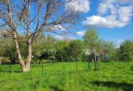 Mehrfamilienhaus mit viel Potential