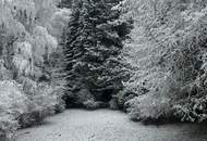 300 Meter von der MITTELSTATION STUHLECK entfernt