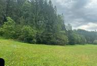 Uriges Bauernhaus in idyllischer Lage mit Wald und Wiesenflächen