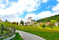 Uriges Landhaus - Traumlage - plus Pool - Grundfläche 1.594 m² - Renovierung und Schönheitsreparaturen sind erforderlich, dennoch sofort beziehbar!