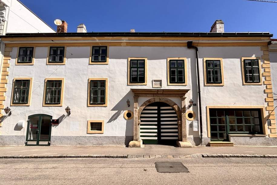 Da geht einem das Herz auf! Außergewöhnliche Mietfläche mit schattigem Arkadengang | 3 Zimmer | Nächst Hauptplatz, Gewerbeobjekt-miete, 725,00,€, 2700 Wiener Neustadt(Stadt)