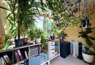 3 Zimmer-Eigentumswohnung in Pöchlarn mit Donaublick